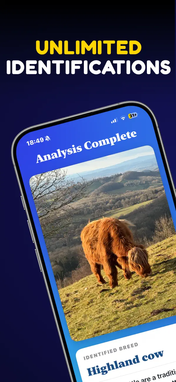 Screenshot #2 pour What Cow: AI Cattle Identifier