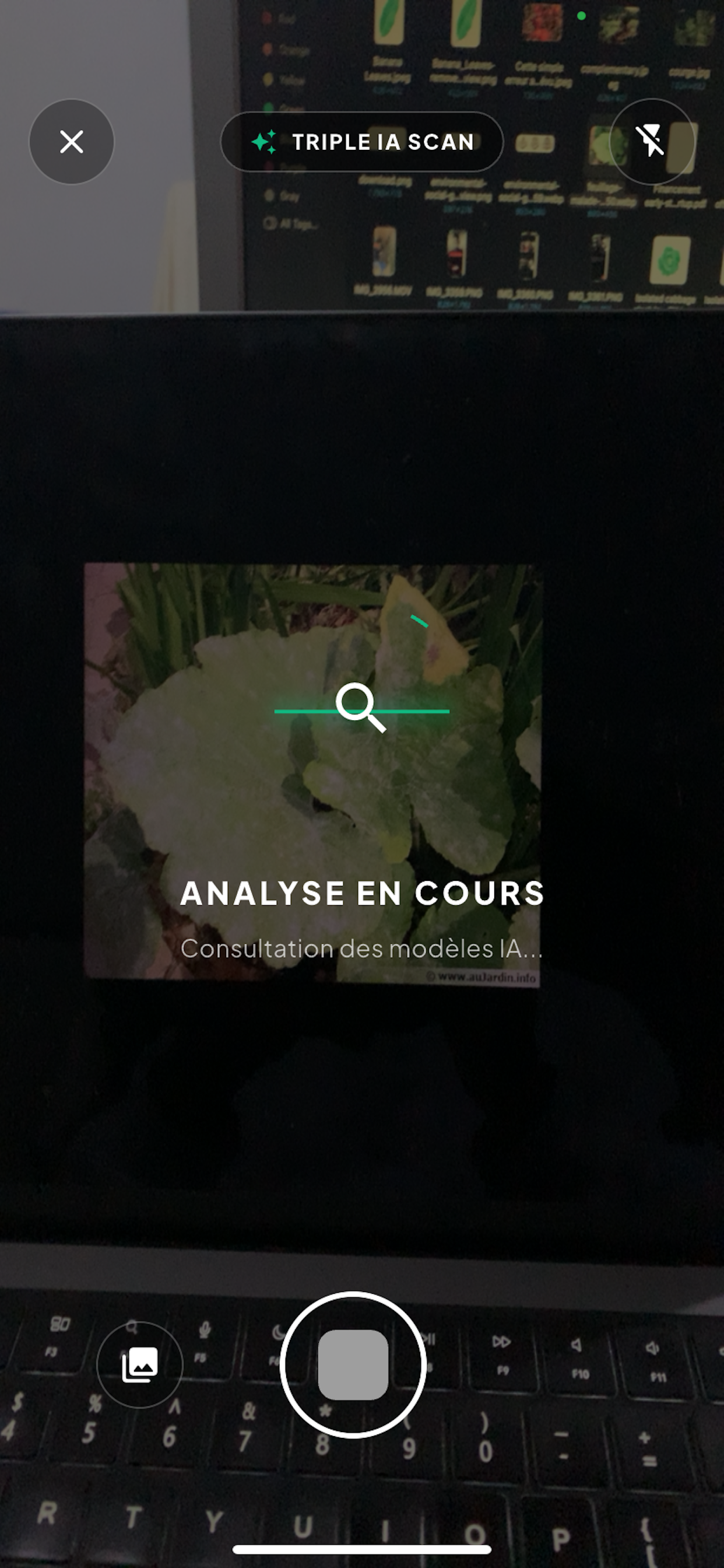 Plantixia screenshot 2