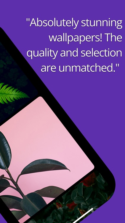 Wallpapers Curated: 4K and HD screenshot-3