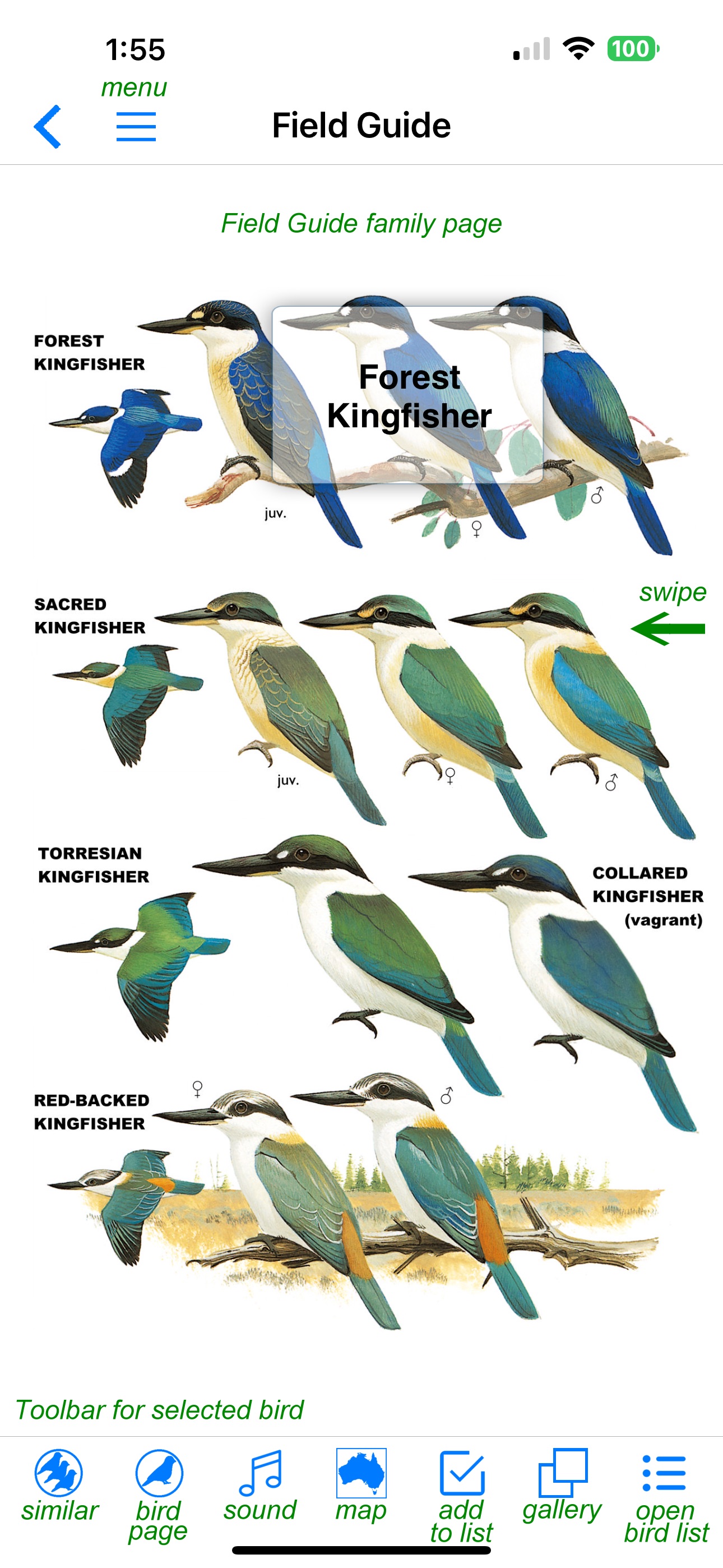 Screenshot 2 of Pizzey and Knight Birds of Aus