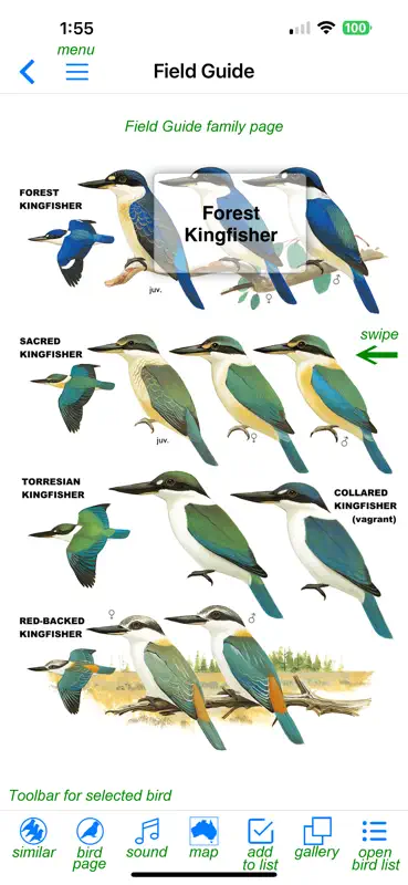 Pizzey and Knight Birds of Aus screenshot 2 of 10