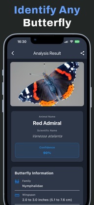 Butterfly Identifier Pro screenshot 2