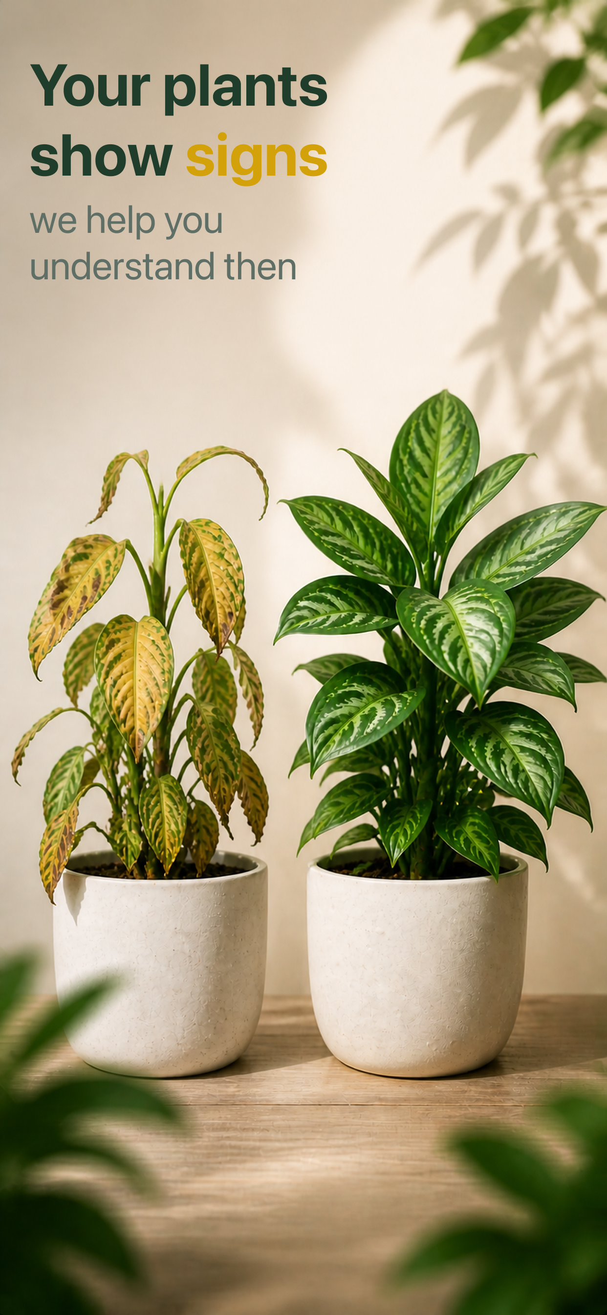 Listva: Plant Care & ID screenshot 4