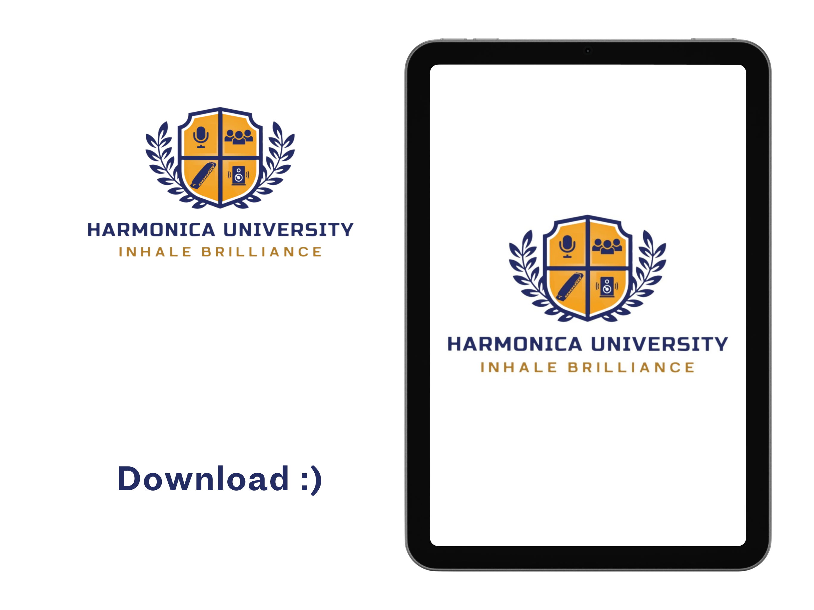 Harmonica University