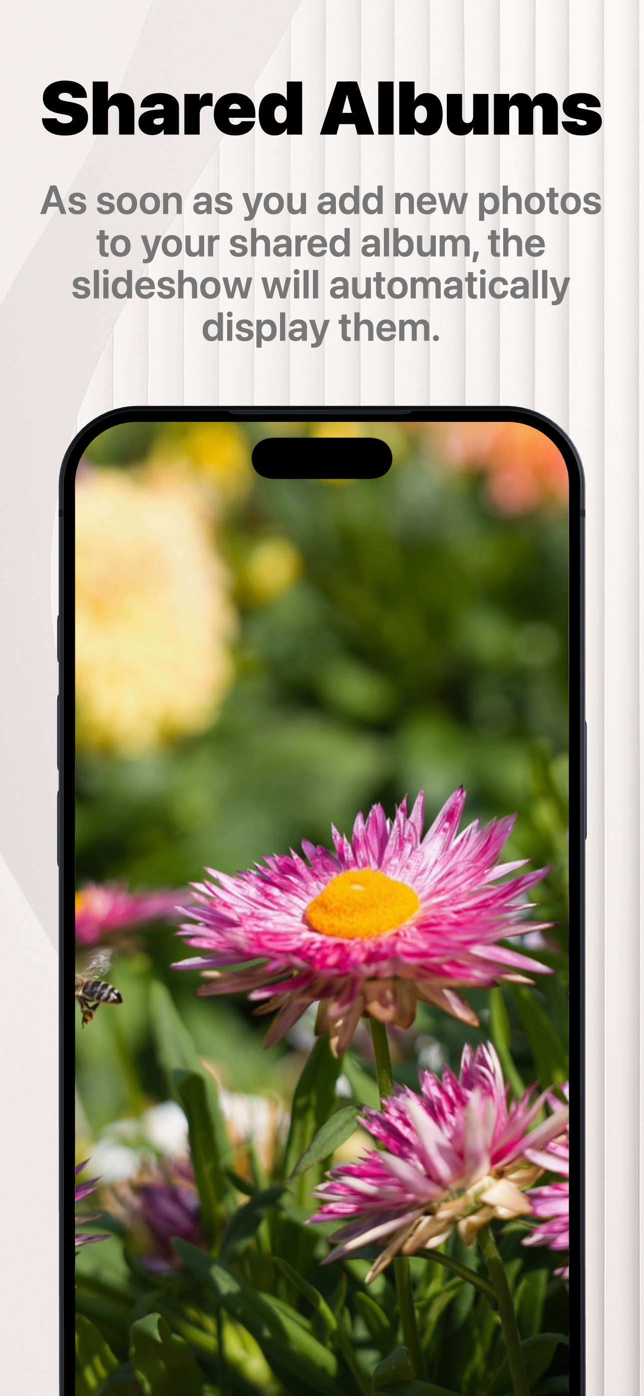 PhotoPanel: Photo Frame screenshot 8