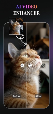 AI Video Upscale: Picadabra screenshot