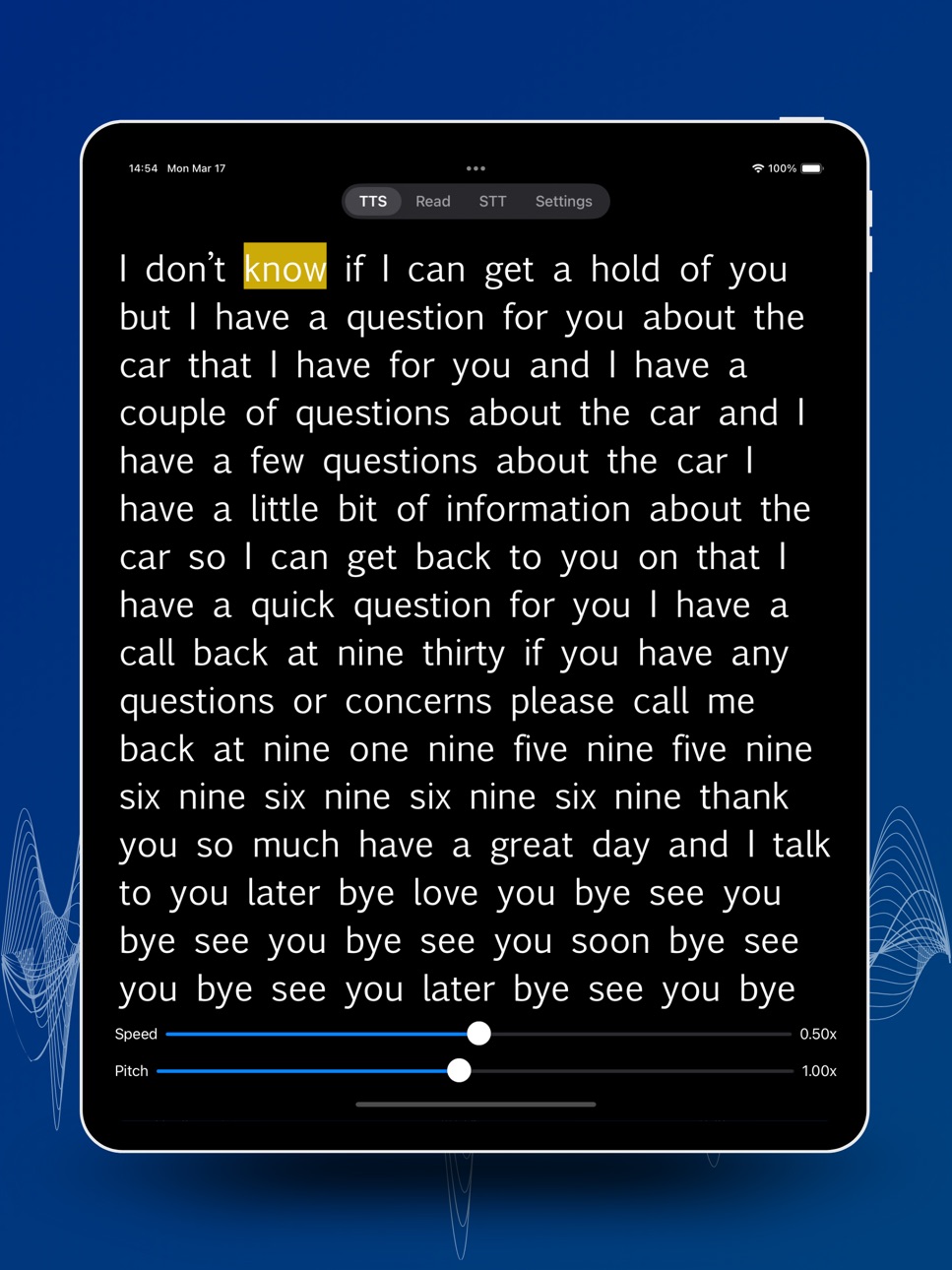 iPad screenshot