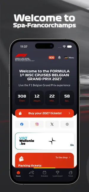 Formula 1 Belgian Grand Prix screenshot 1
