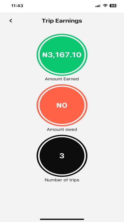 Flash Driver: Luxury & Regular screenshot-5