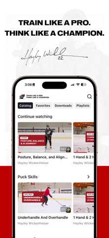 Wick Hockey screenshot