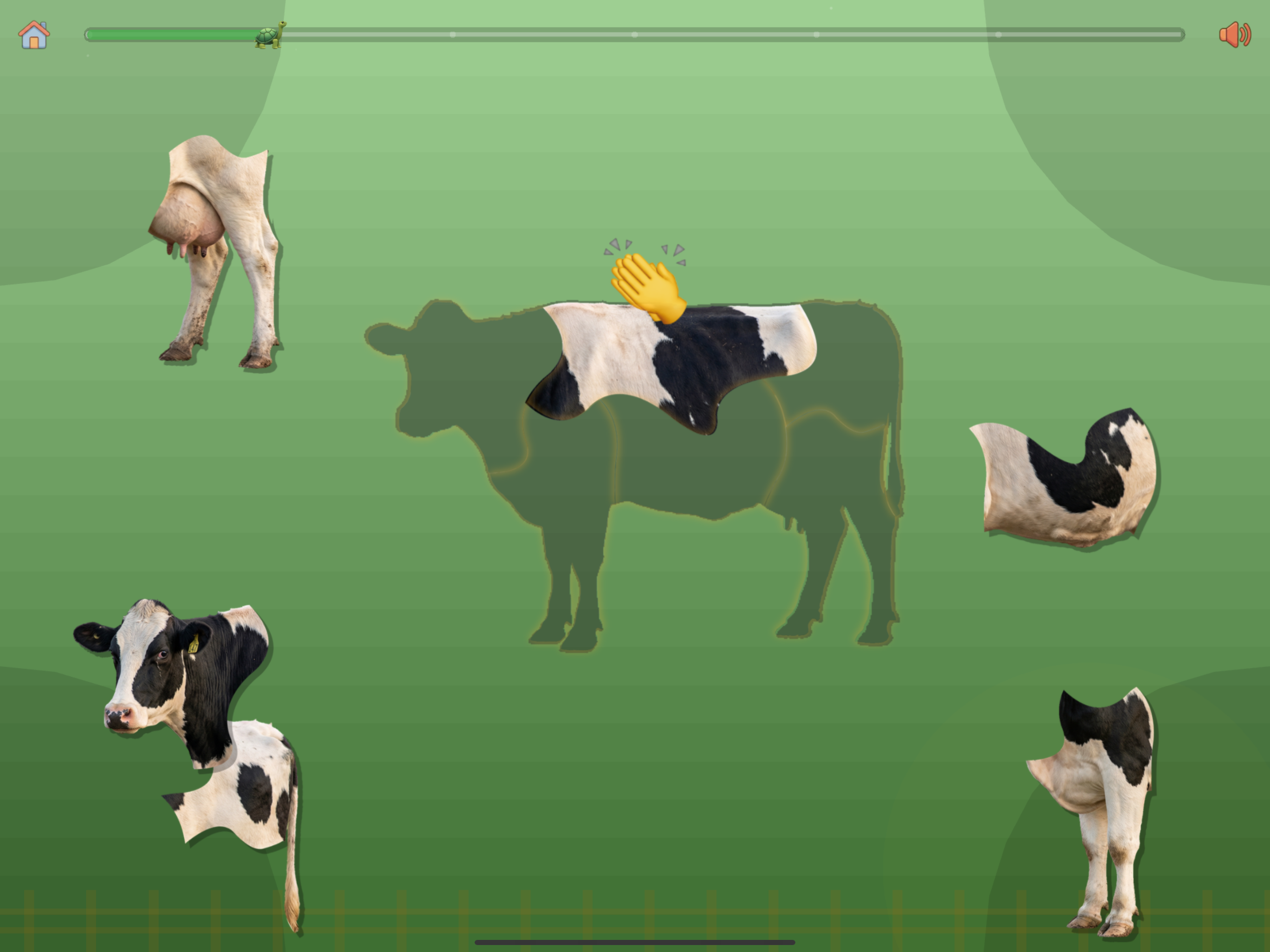 Animal Puzzle: Baby & Toddler