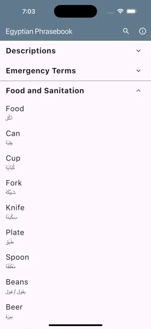 Egyptian Phrasebook screenshot 4