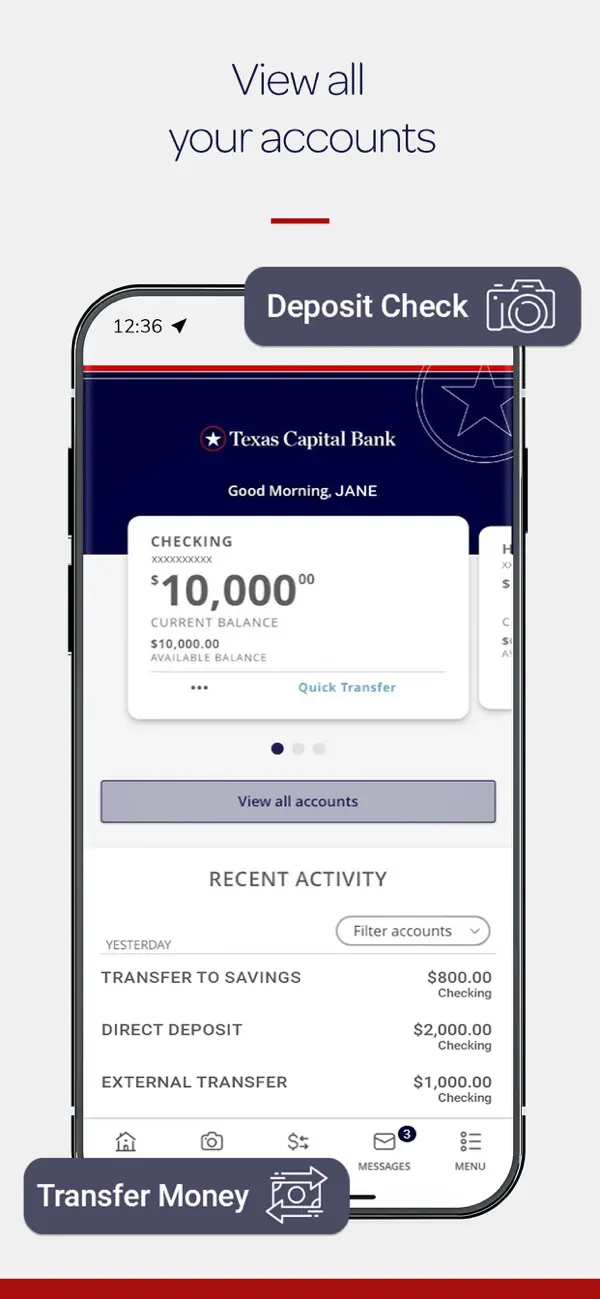 Screenshot #1 pour Texas Capital Mobile