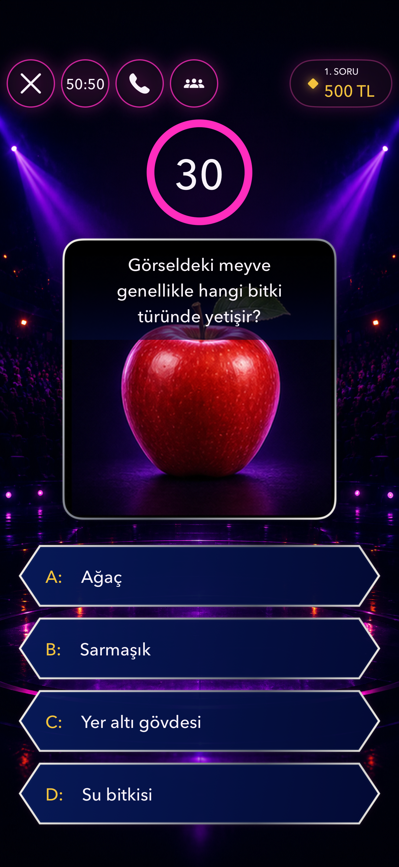 Bilgi Yarışması? screenshot 3
