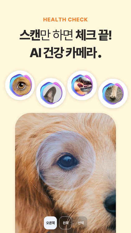 티티케어벳홈- AI가 알려주는 댕냥이 건강 screenshot-3