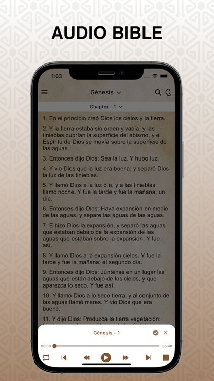 La Biblia NVI en Audio Pro screenshot-3