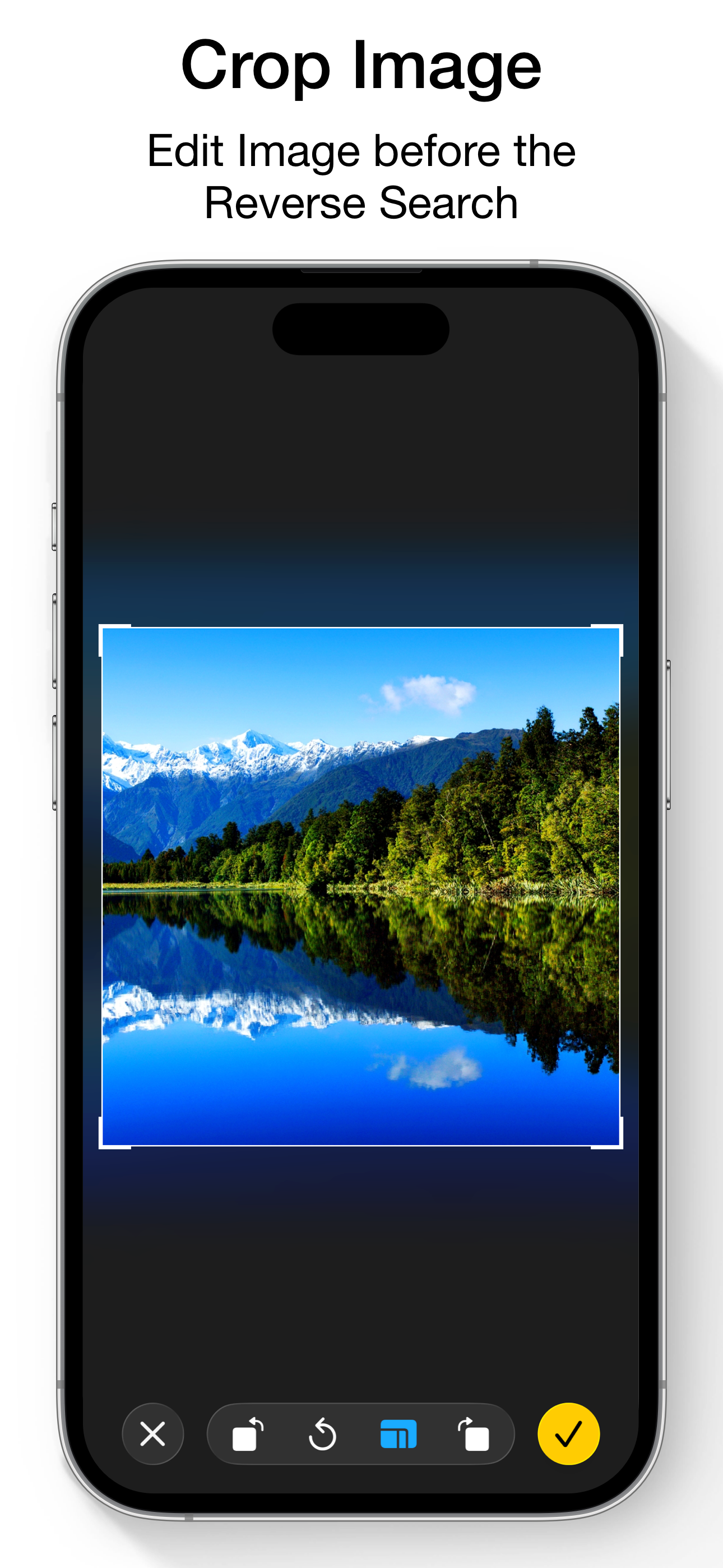 Reverse Image Search & AI Lens screenshot 8