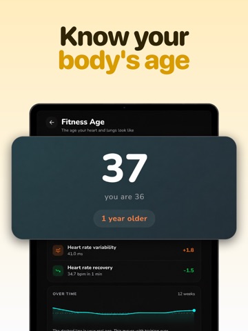 Boddy: Stress & Sleep Monitor iPad screenshot
