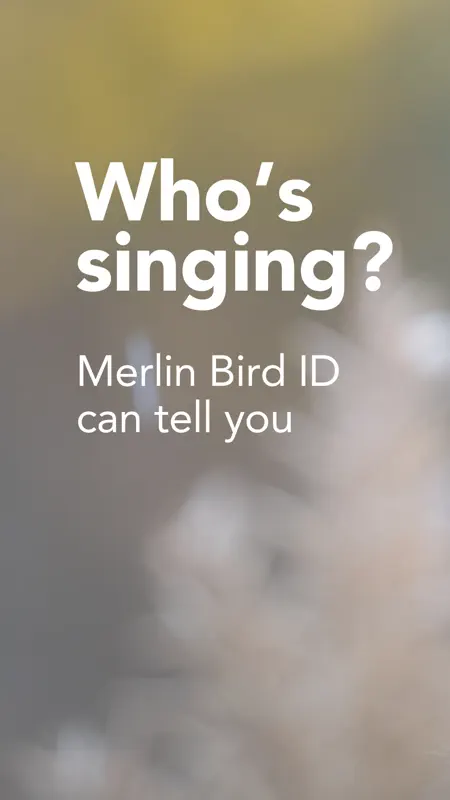 Merlin Bird ID by Cornell Lab screenshot 1 of 8