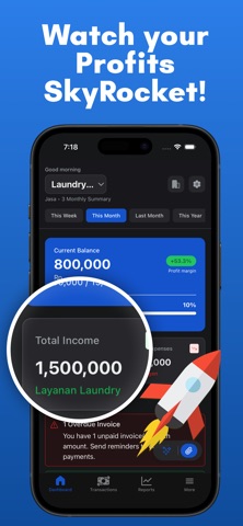 Hexa: AI Business Finance iPhone screenshot