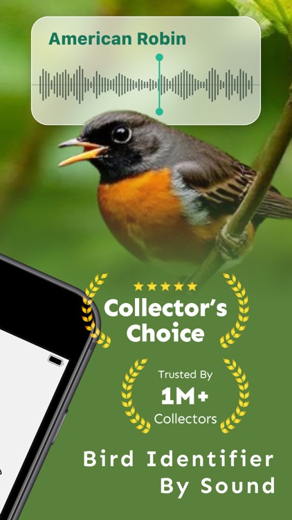 Bird Sound Identifier Song ID