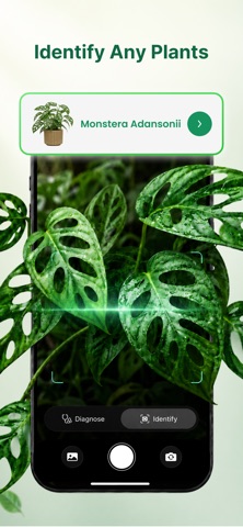 Leafix: Plant Identifier, Care Screenshot 1 of 7