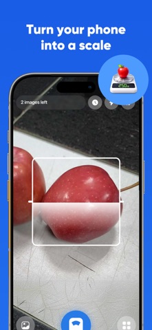 Digital Scale Grams AI Screenshot 1 of 4