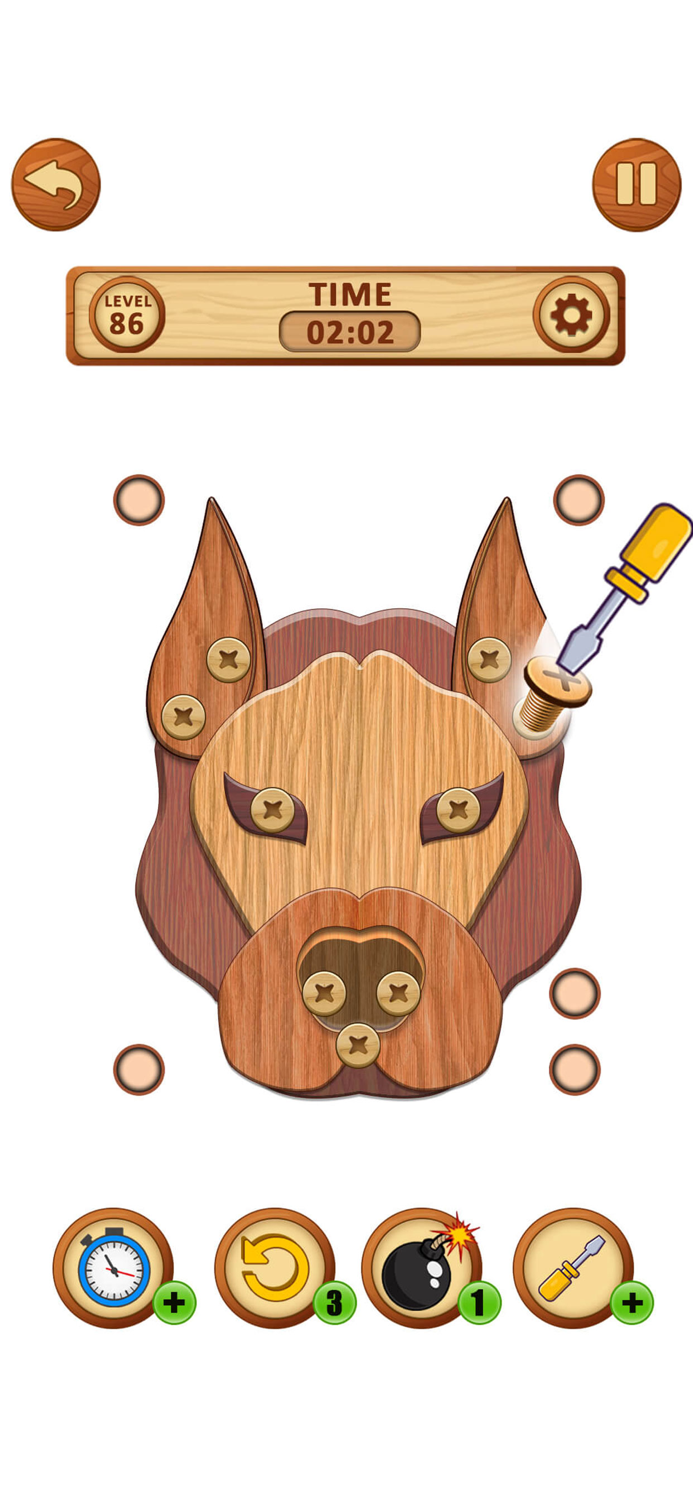 Wood Bolts Brain Puzzle Tease