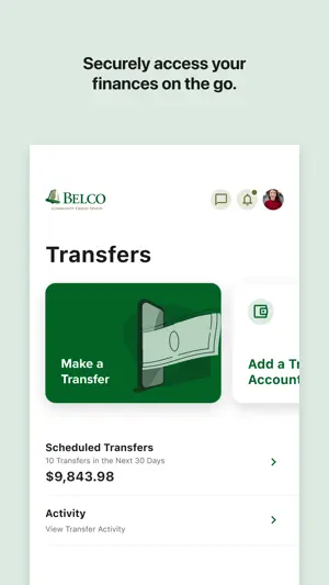Belco Money Manager screenshot 2