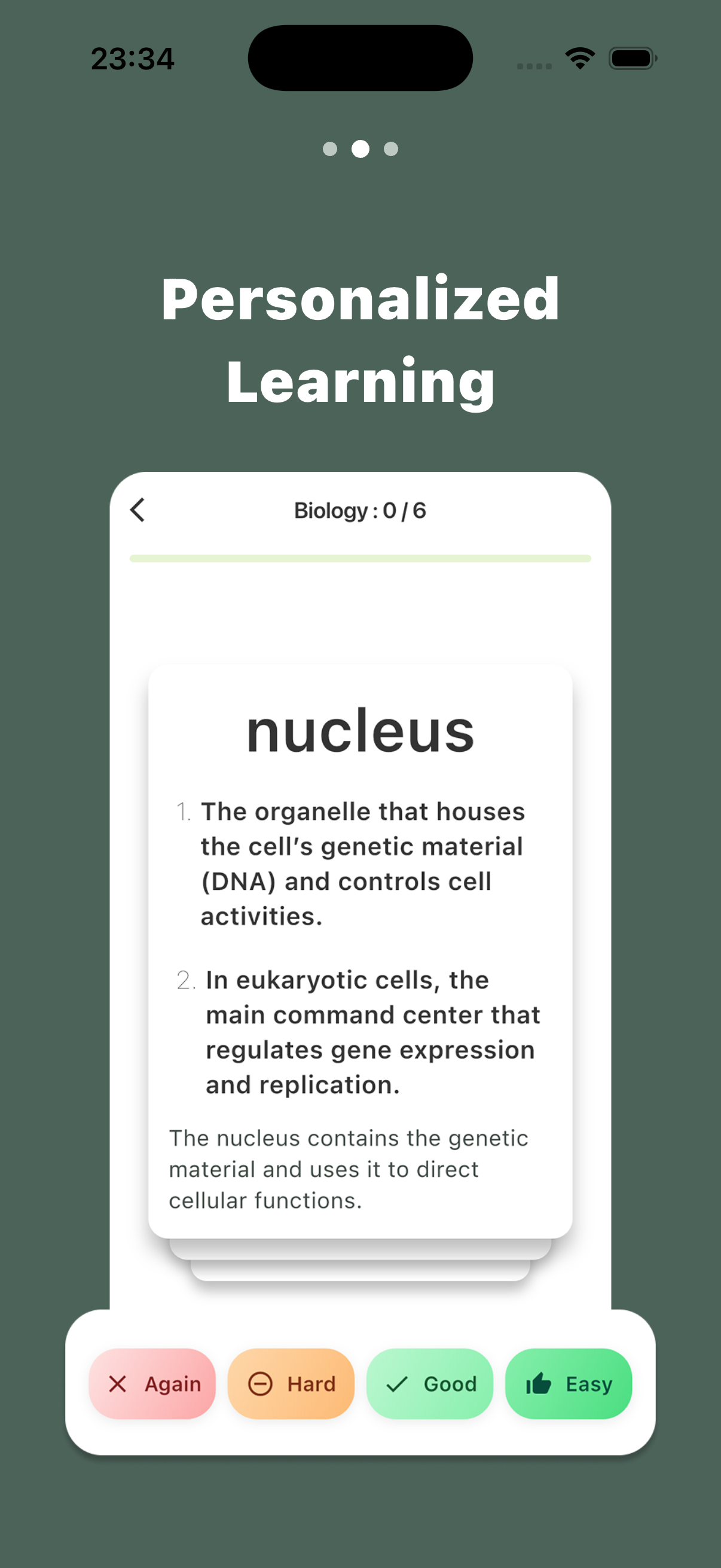 memry AI-Powered Memorization screenshot 2