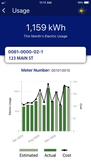 Central Hudson Mobile screenshot 2