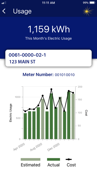 Screenshot 2 of Central Hudson Mobile App