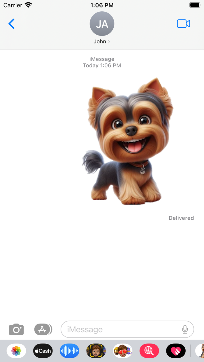 Happy Yorkshire Terrier