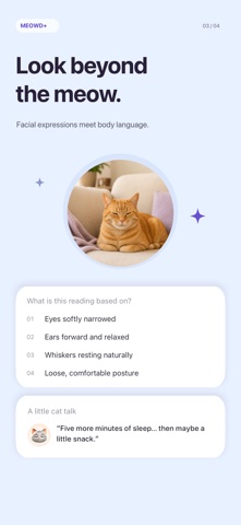 MEOWD: Cat Mood Analyzer Screenshot 3 of 4