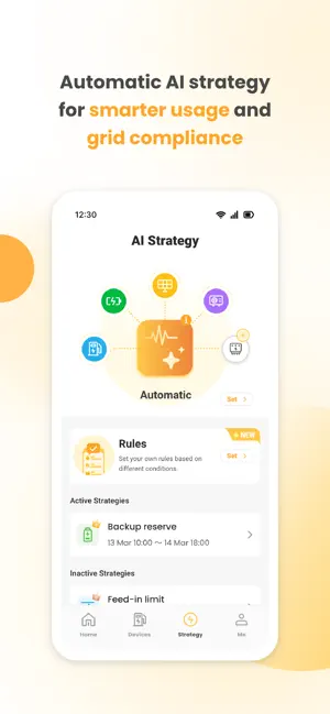 Flex Energie EMS screenshot 2