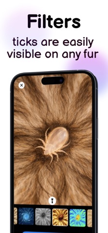 TickScanner: Tick Finder&Lyme iPhone screenshot