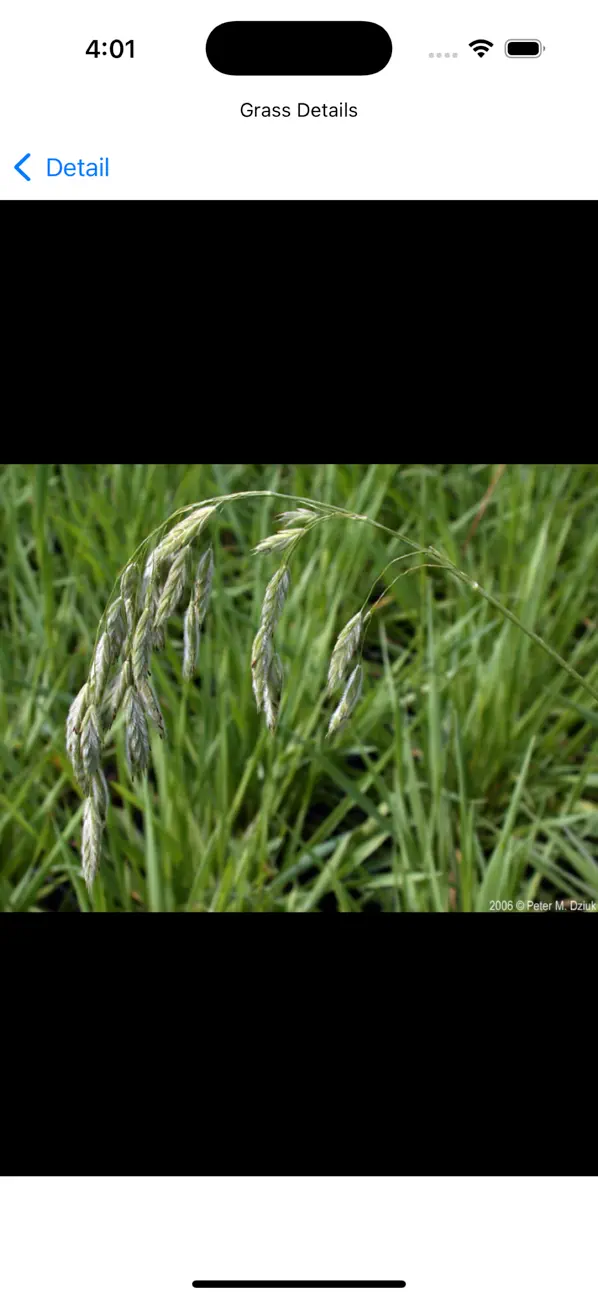 #6. NCGrasses (iOS) โดย: Brian Stewart