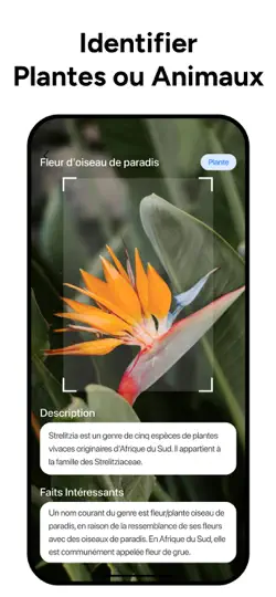 Capture d'écran de Lens AI & Reverse Image Search sur iPhone 2