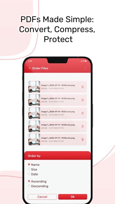 Images too PDF Screenshot