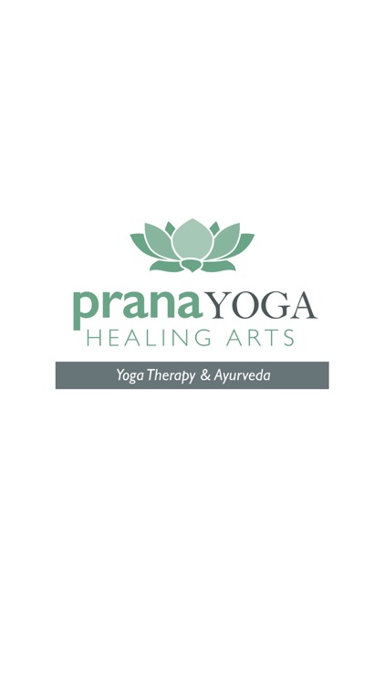 Prana Yoga School