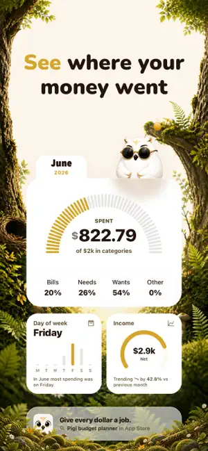 Pigi: Monthly Budget Planner screenshot 3