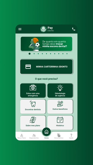 Palmeiras Pay Odonto Screenshot
