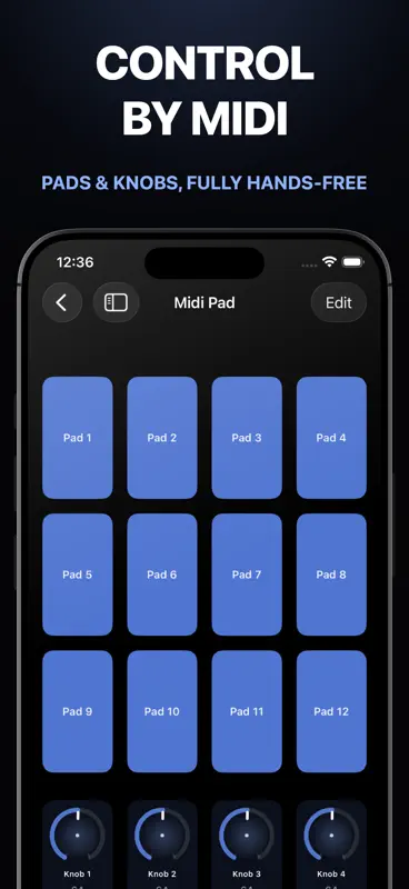 NAM Loader Pedal: AUv3 Plugin screenshot 4 of 5
