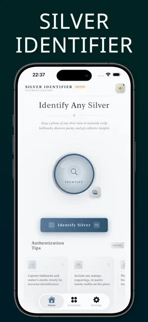 Silver Scanner screenshot 1