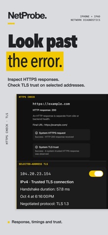 NetProbe: Network Tools Screenshot 7 of 10