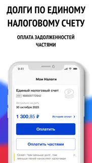 Мои налоги ФЛ, ИП - налог РФ айфон картинки 2