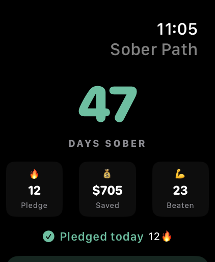 My Sober Path screenshot 16