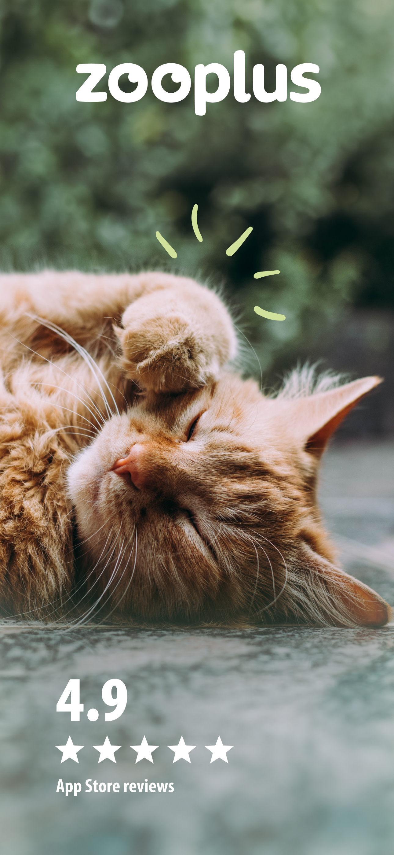 zooplus - Pet Shop & Vet Care