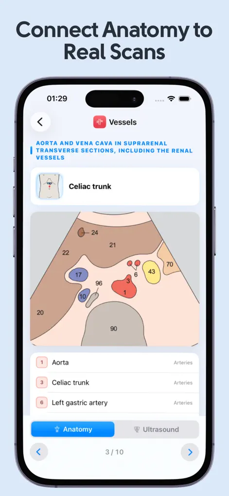 Ultrasound Anatomy Atlas - Medical App | MWM