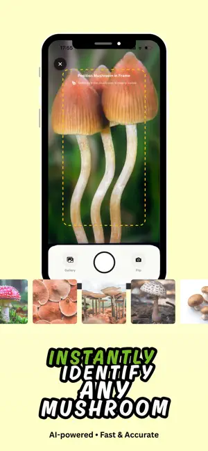 Mushroom Identifier: MycoID screenshot 1